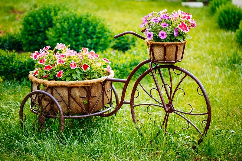 Flowers florist