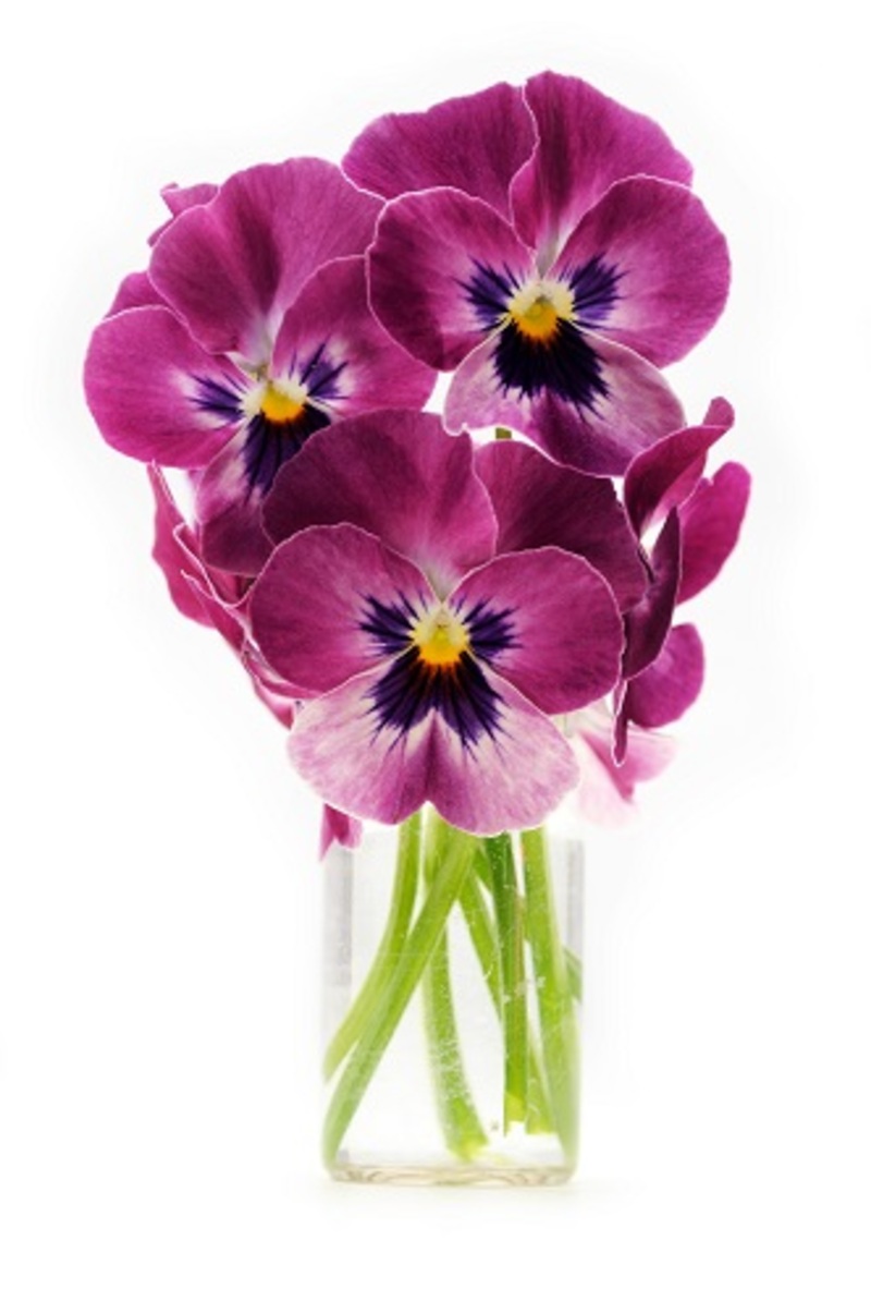 Bouquets flowers